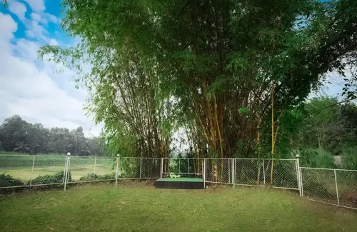 Aambal Resort and Events in Chengamanad, Aluva, Kochi Outdoor for wedding