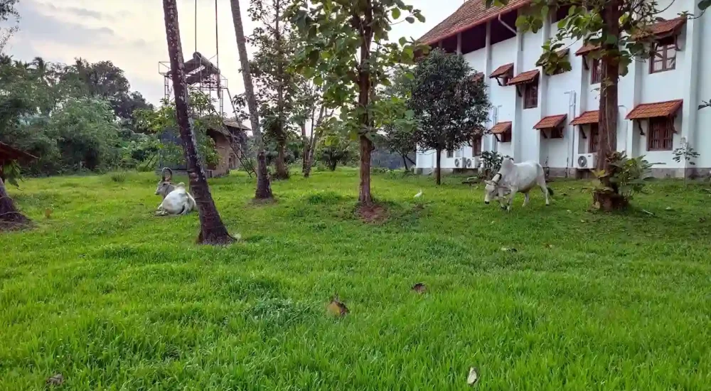 Rasa Gurukul in Chalakudy, Thrissur for destination wedding