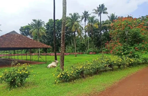 Rasa Gurukul in Chalakudy, Thrissur for destination wedding
