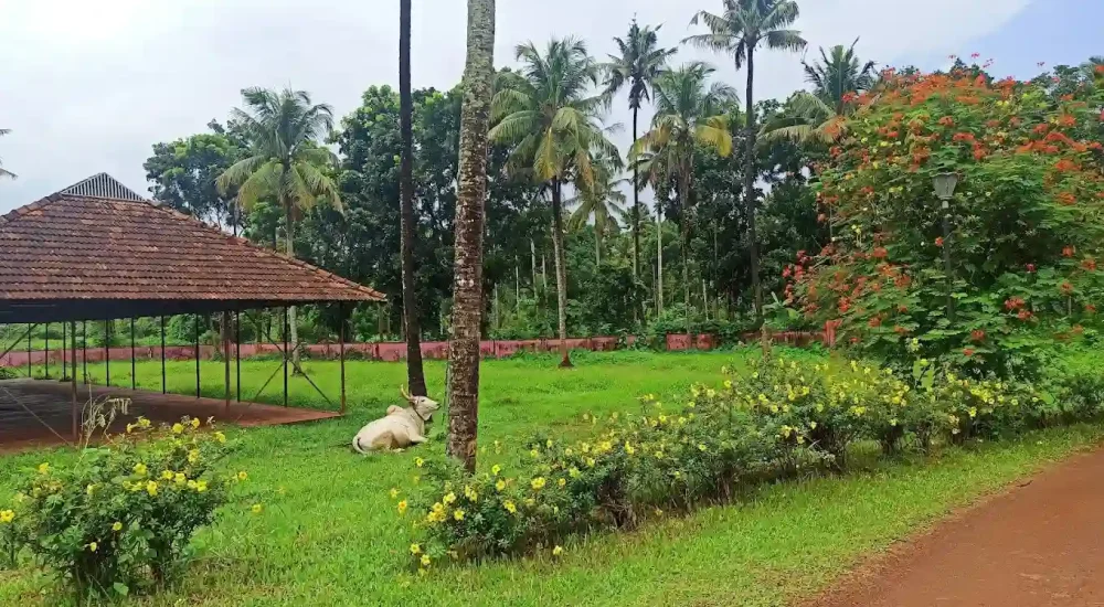 Rasa Gurukul in Chalakudy, Thrissur for destination wedding