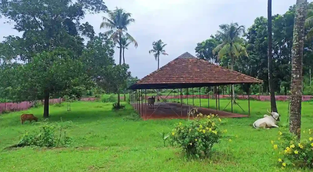 Rasa Gurukul in Chalakudy, Thrissur for destination wedding
