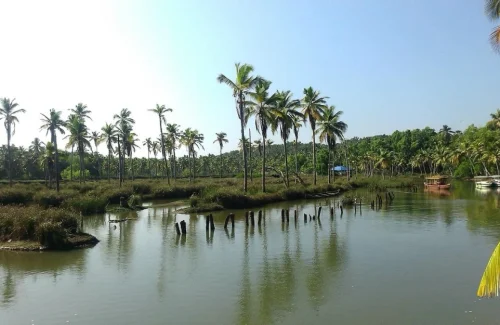 Havelia Island Resort Poovar Trivandrum