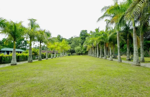 The Hill District Club in Kolagapaara ,Wayanad FOR outdoor wedding