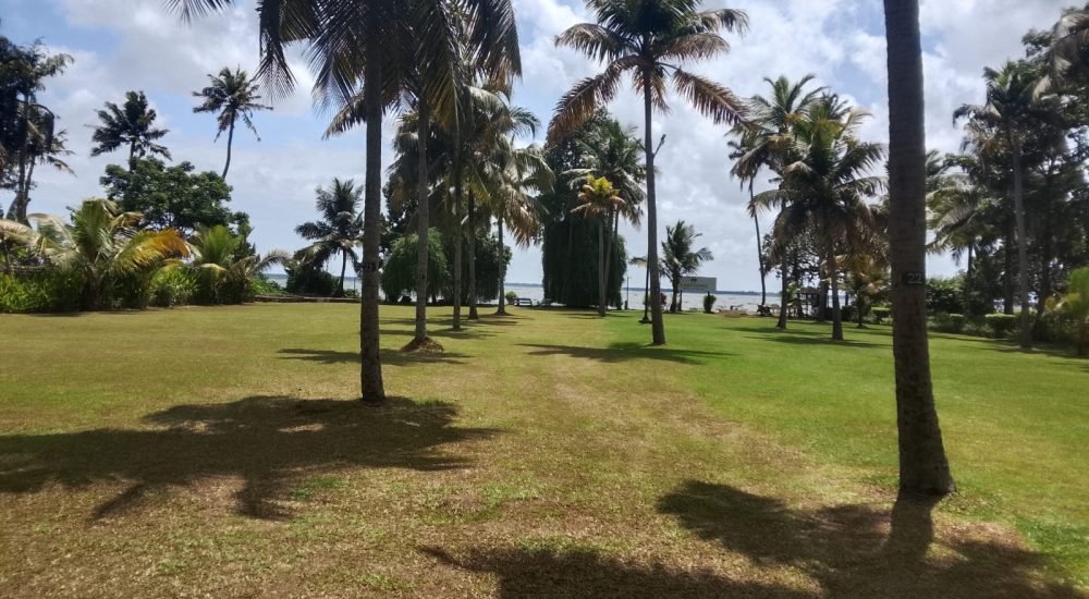 hotel lakesong resort kumarakom lawn