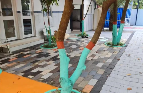 Leehome Resort in Kizhakkumpattukara, Thrissur outdoor for wedding