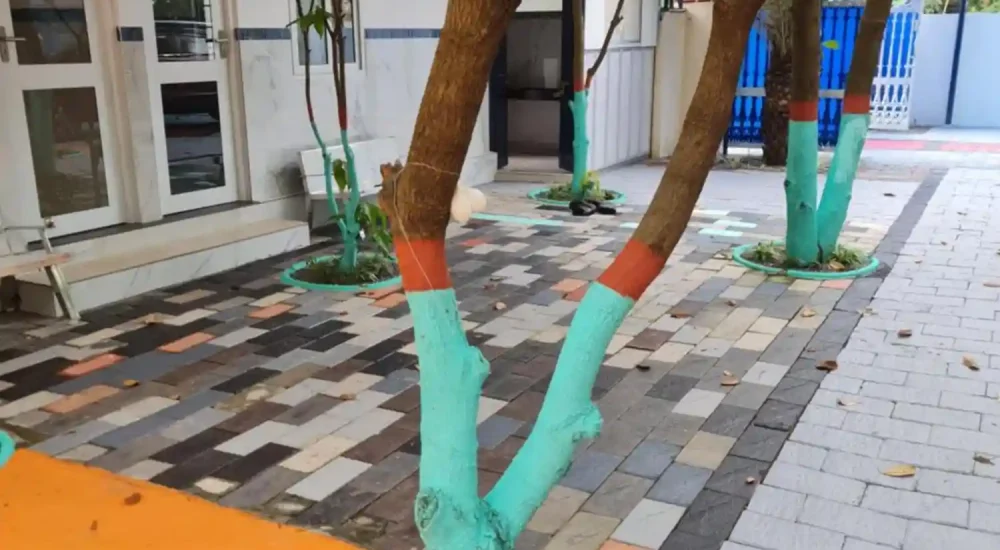 Leehome Resort in Kizhakkumpattukara, Thrissur outdoor for wedding