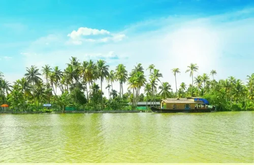 Munroe Island Pranavam Resort Kollam For Wedding Munroe Island Pranavam Resort Kollam For Wedding