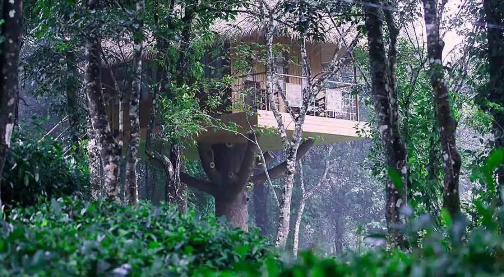 Greenberg Holiday Resorts In Nadukani, Kulamavu, Idukki outdoor for wedding