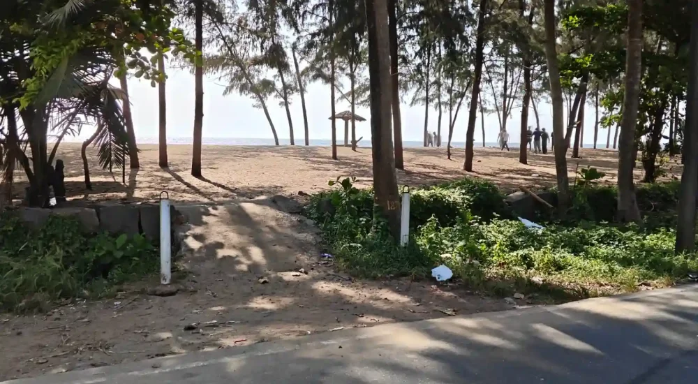 Scenic outdoor beach lawn and palm-lined venue grounds at Indriya Sands destination wedding resort near Kuzhupilly Beach, Kochi.
