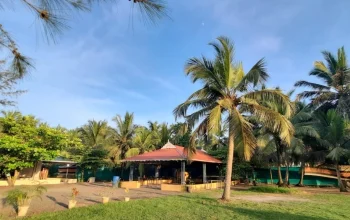 Backwater wedding Event management in Alappuzha and the best wedding planners Backwater wedding Event management in Alappuzha and the best wedding planners
