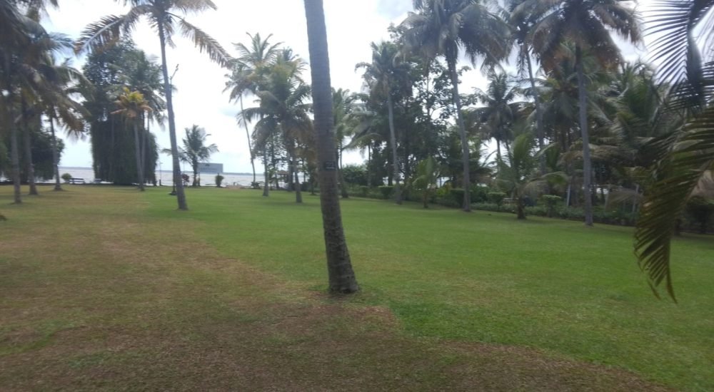 lakesong resort kumarakom kerala lawn area