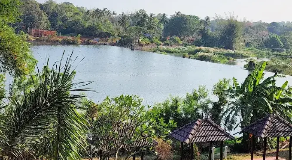 Mango County Resort in Pirayiri, Palakkad for wedding