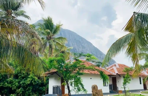 Mango Village in Kollengode,Palakkad For Wedding