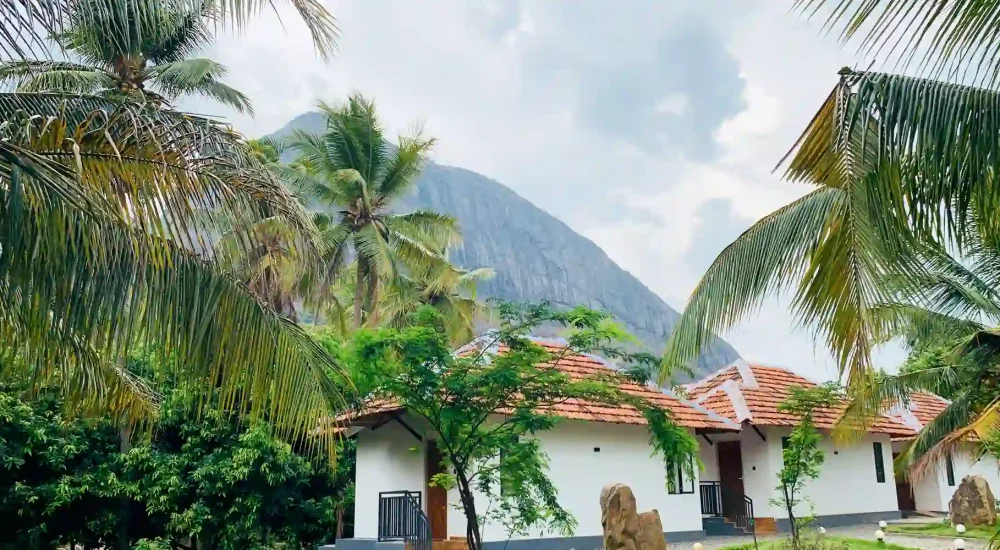 Mango Village in Kollengode,Palakkad For Wedding