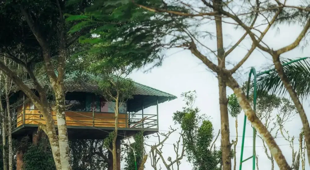 Eletaria Resort in Vandanmedu, Thekkady, Idukki For Wedding