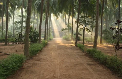 NC Gardens and Beach Resort Malappuram NC Gardens and Beach Resort Malappuram