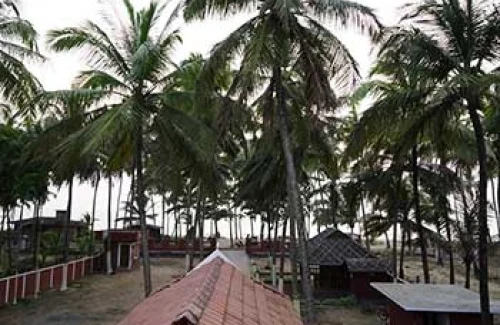 Orchard Sea View Resort for beach wedding