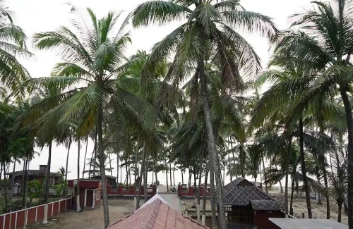 Orchard Sea View Resort for beach wedding