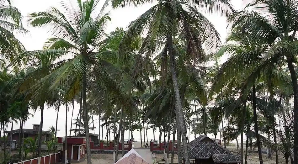 Orchard Sea View Resort for beach wedding