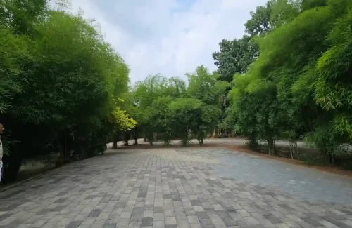 Pariyadan's Royal Garden for outdoor wedding