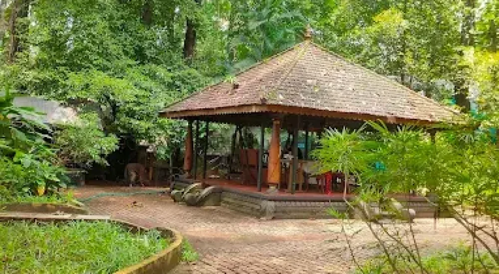 Rain Forest Ayurvedic Resort Kottayam With Best Wedding Cost