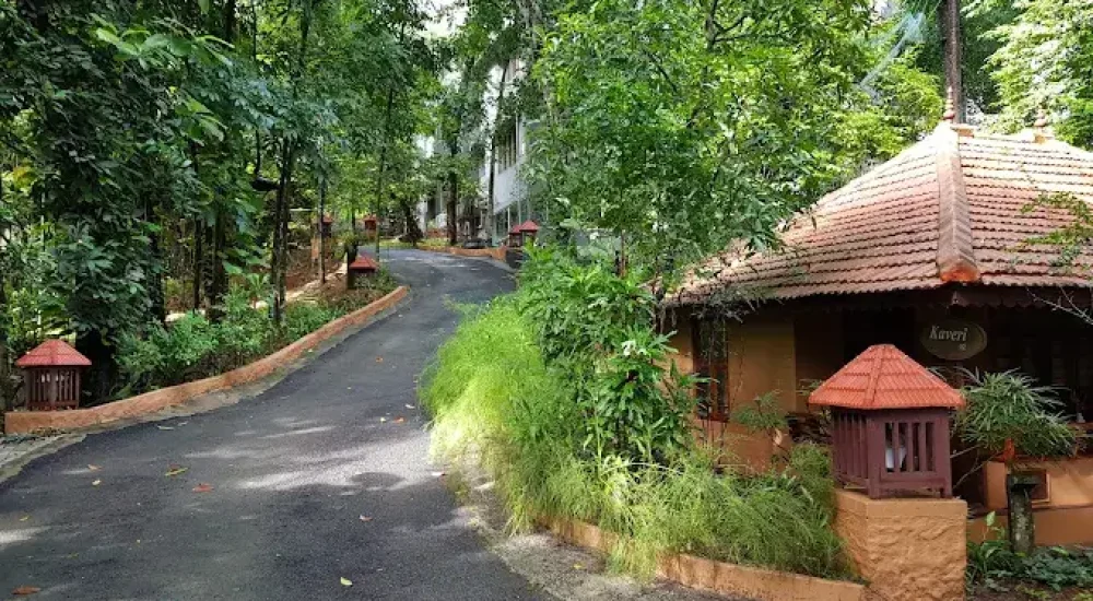 Rain Forest Ayurvedic Resort Kottayam With Best Wedding Cost