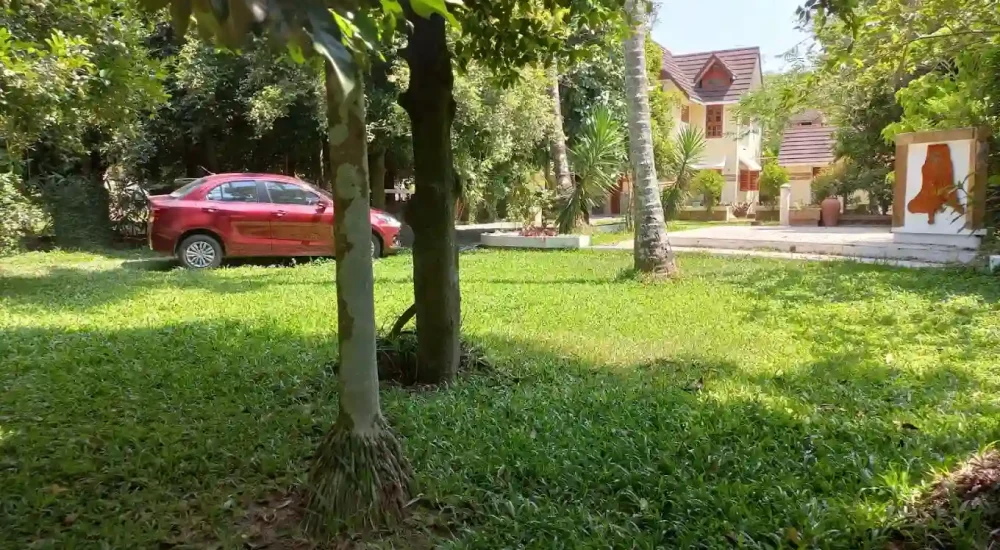 RIVERINE FARMVILLE - EVENTS VENUE for outdoor wedding