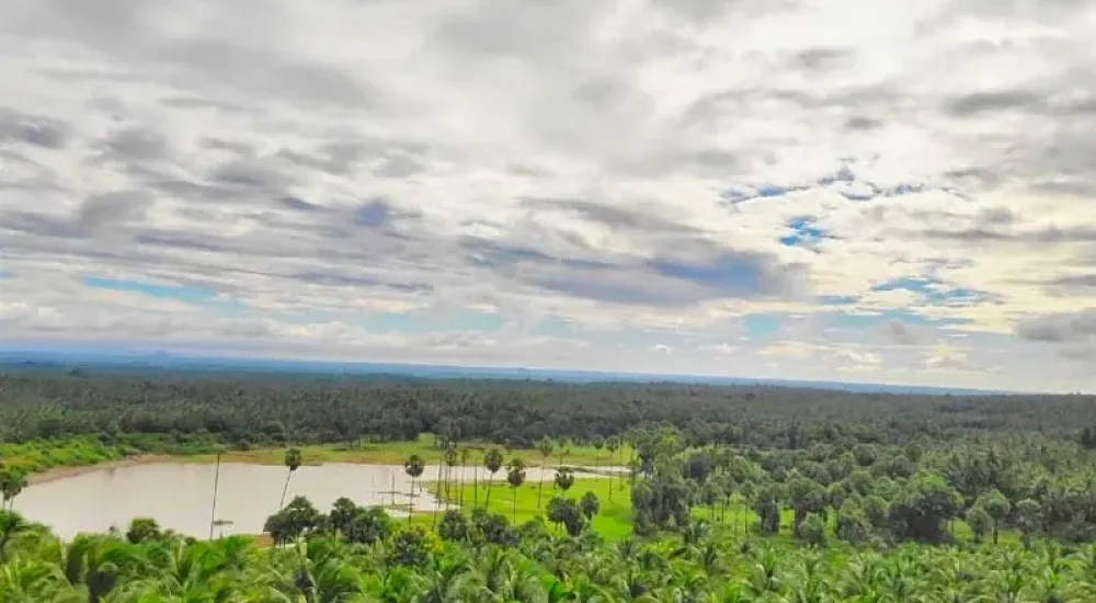 Sunvalley Farmstay in Chittur, Palakkad outdoor for Wedding