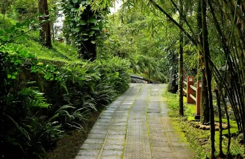 Wayanad Silverwoods Resorts in Padinjarathara, Wayanad