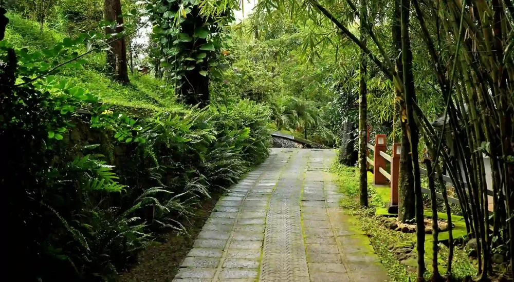 Wayanad Silverwoods Resorts in Padinjarathara, Wayanad