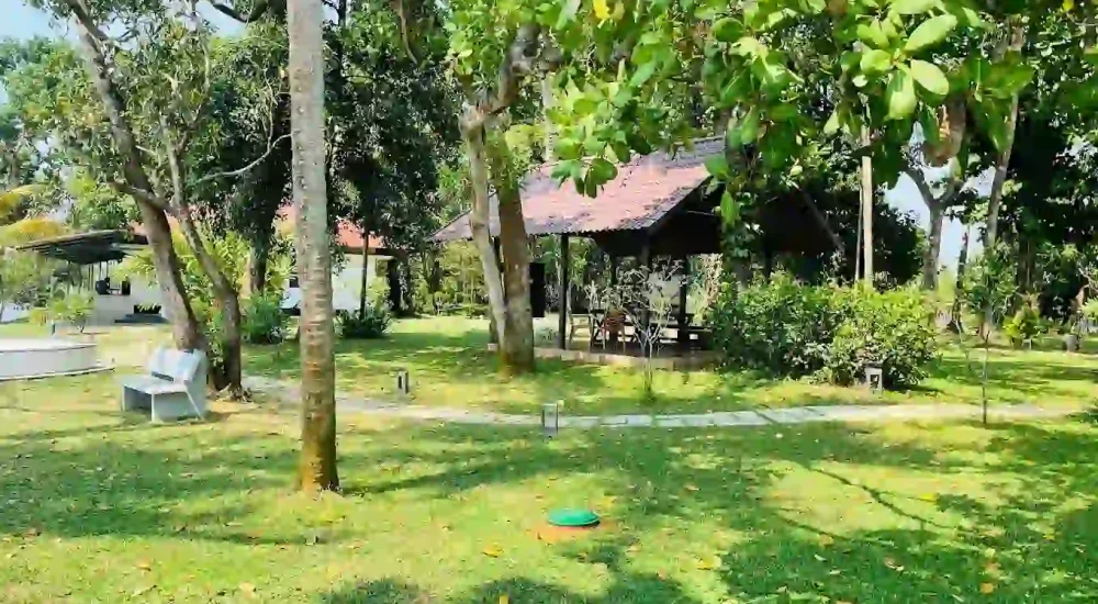 Giby Farm in Mala, Kombathukadavu, Thrissur outdoor for wedding