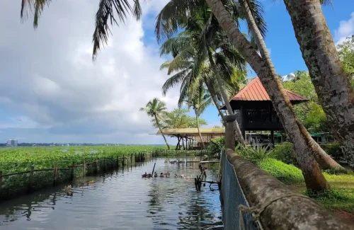 Cloud9 Holidays Lake Resort in Kumbalam, Ernakulam outdoor for wedding