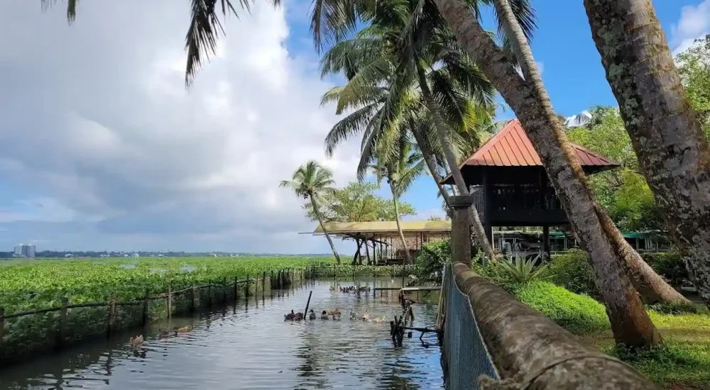 Cloud9 Holidays Lake Resort in Kumbalam, Ernakulam outdoor for wedding