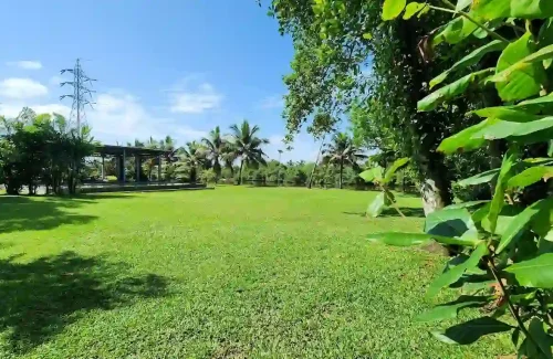 Giby Farm in Mala, Kombathukadavu, Thrissur outdoor for wedding