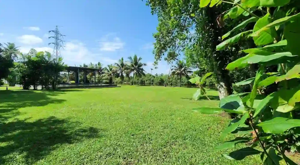 Giby Farm in Mala, Kombathukadavu, Thrissur outdoor for wedding