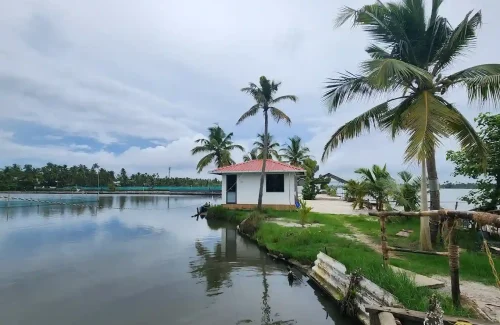 Kumbalangi Blue Waves,Scenic backwater view and sunset wedding venue at Kumbalangi Blue Waves