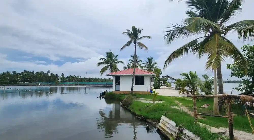 Kumbalangy Blue Waves in Kochi outdoor for wedding
