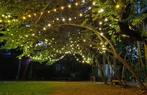 Lake Symphony Resort in Panangad, Kochi outdoor for wedding