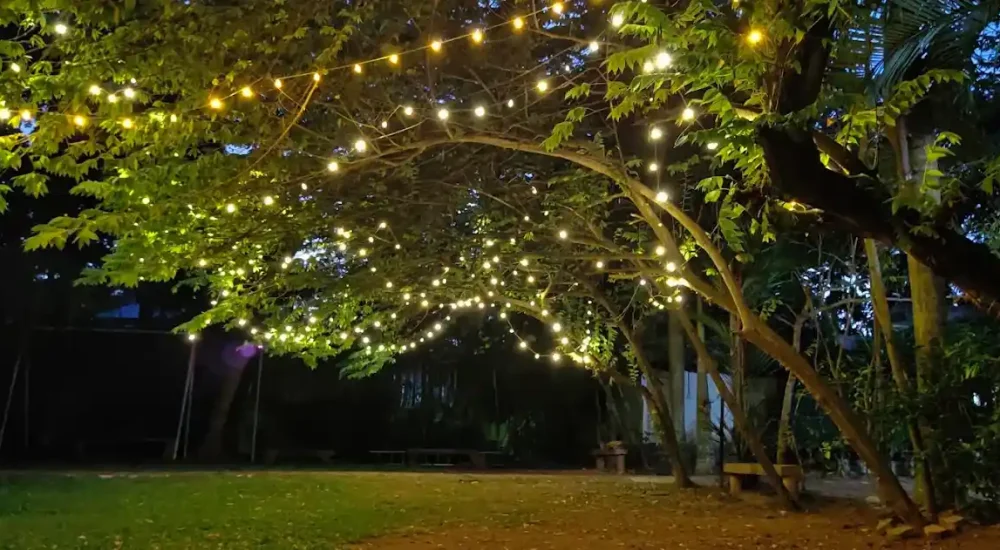 Lake Symphony Resort in Panangad, Kochi outdoor for wedding