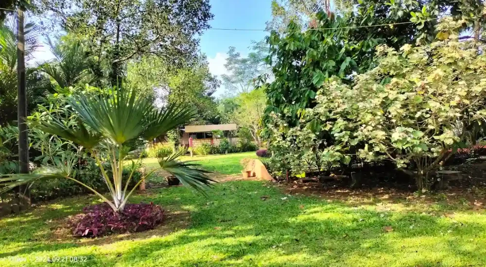 Clouds Village Farm Resort In Thodupuzha, Kochi outdoor for wedding