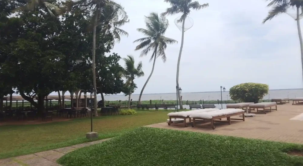 Relaxing lawn seating area with lounge sunbeds and panoramic Vembanad Lake views at Backwater Ripples Hotel Kumarakom.