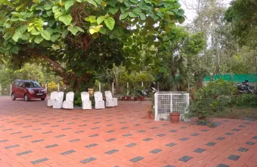 EDEN garden by GeM owners in Thalavanikkara, Nenmanikkara, Thrissur outdoor for wedding