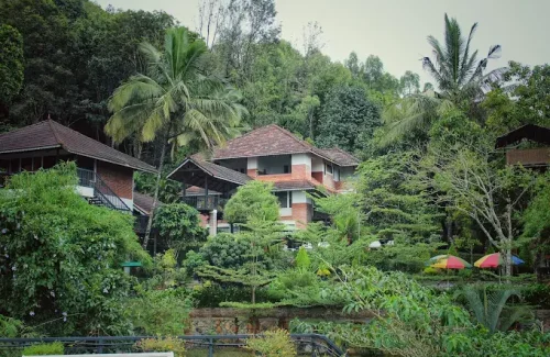Mount Xanadu Resorts in Ambalavayal, Wayanad For Wedding